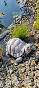 Gartenfigur Schildkröte Beany
