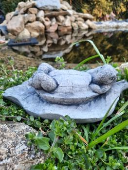 Gartenfigur Schildkröte Chilly