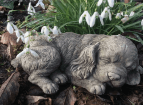 Steinfigur_Gartenfigur_Cocker_Spaniel_Sam